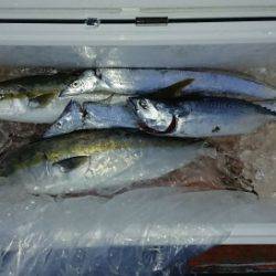 火遠理丸（ほおりまる） 釣果