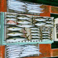 火遠理丸（ほおりまる） 釣果