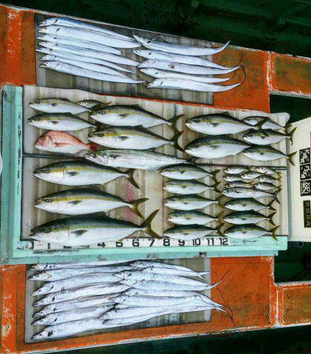 火遠理丸（ほおりまる） 釣果