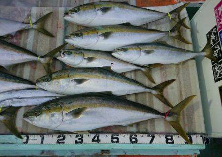 火遠理丸（ほおりまる） 釣果