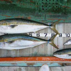 火遠理丸（ほおりまる） 釣果