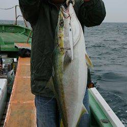 火遠理丸（ほおりまる） 釣果