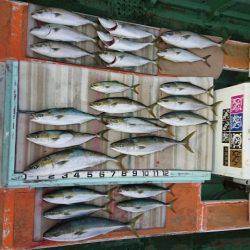 火遠理丸（ほおりまる） 釣果