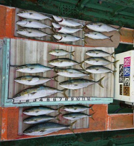 火遠理丸（ほおりまる） 釣果