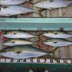 火遠理丸（ほおりまる） 釣果