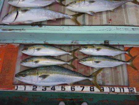 火遠理丸（ほおりまる） 釣果