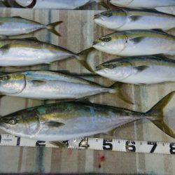 火遠理丸（ほおりまる） 釣果