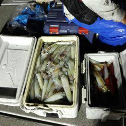 第二大福丸 釣果