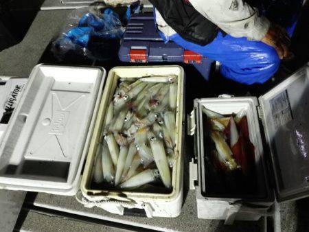 第二大福丸 釣果