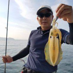 Magic（マジック） 釣果