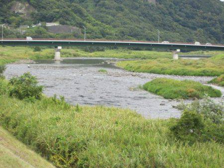 狩野川（狩野川漁業協同組合） 釣果