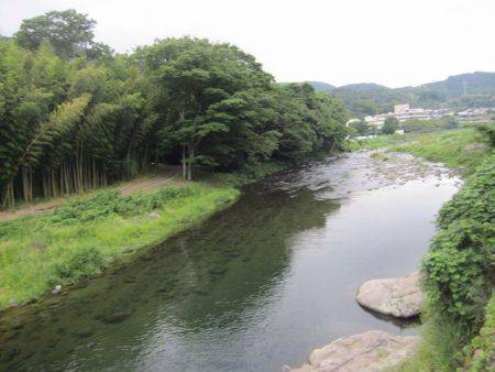 狩野川(狩野川漁業協同組合) 釣果