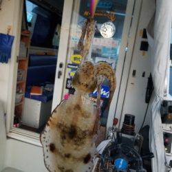 遊漁船 ニライカナイ 釣果