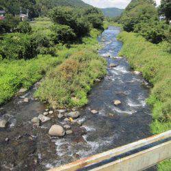 狩野川(狩野川漁業協同組合) 釣果