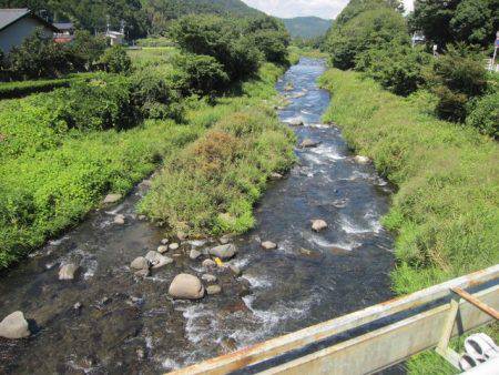 狩野川(狩野川漁業協同組合) 釣果