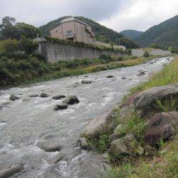 狩野川(狩野川漁業協同組合) 釣果