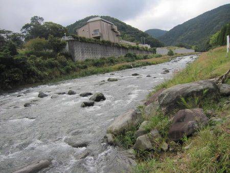 狩野川(狩野川漁業協同組合) 釣果