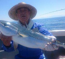 IDATEN(イダテン) 釣果