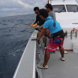 へいみつ丸 釣果