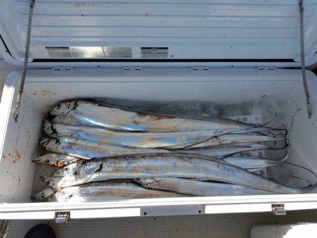 遊漁船 ニライカナイ 釣果