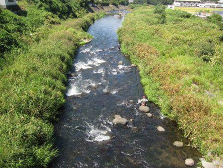 狩野川(狩野川漁業協同組合) 釣果