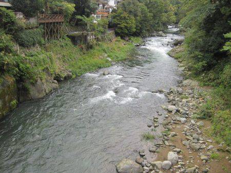 狩野川(狩野川漁業協同組合) 釣果