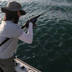 スカイマリン 釣果