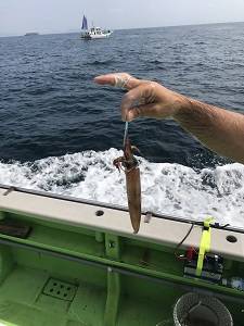 利八丸 釣果