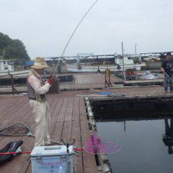 淡路じゃのひれフィッシングパーク 釣果
