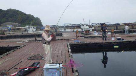 淡路じゃのひれフィッシングパーク 釣果
