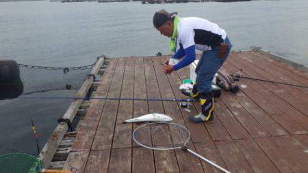 淡路じゃのひれフィッシングパーク 釣果