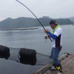 淡路じゃのひれフィッシングパーク 釣果