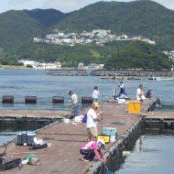 淡路じゃのひれフィッシングパーク 釣果