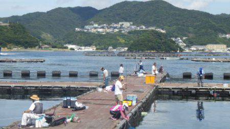 淡路じゃのひれフィッシングパーク 釣果