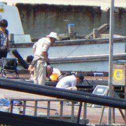 淡路じゃのひれフィッシングパーク 釣果