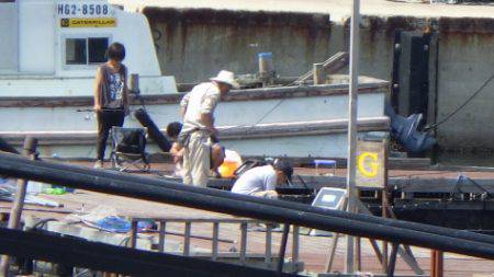 淡路じゃのひれフィッシングパーク 釣果