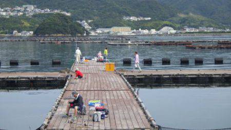 淡路じゃのひれフィッシングパーク 釣果