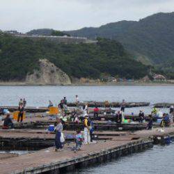 淡路じゃのひれフィッシングパーク 釣果