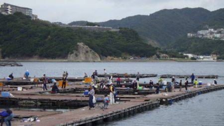 淡路じゃのひれフィッシングパーク 釣果
