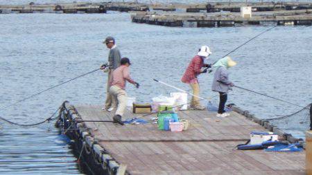 淡路じゃのひれフィッシングパーク 釣果