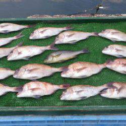 淡路じゃのひれフィッシングパーク 釣果