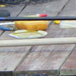 淡路じゃのひれフィッシングパーク 釣果