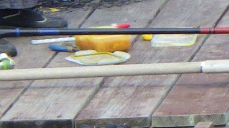 淡路じゃのひれフィッシングパーク 釣果