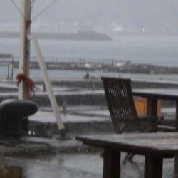 淡路じゃのひれフィッシングパーク 釣果