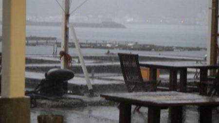 淡路じゃのひれフィッシングパーク 釣果