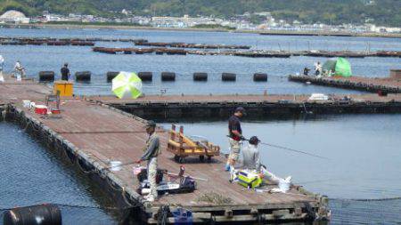 淡路じゃのひれフィッシングパーク 釣果