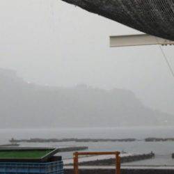 淡路じゃのひれフィッシングパーク 釣果