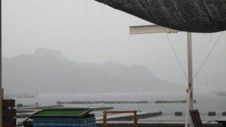 淡路じゃのひれフィッシングパーク 釣果