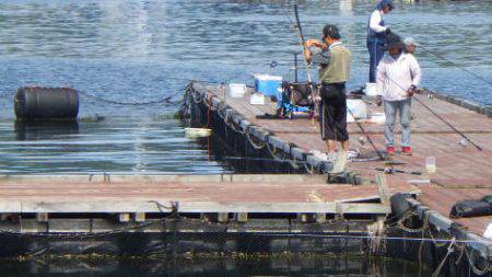 淡路じゃのひれフィッシングパーク 釣果