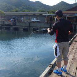 淡路じゃのひれフィッシングパーク 釣果